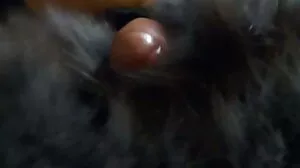 Nenek romen jolok montel