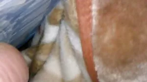Porn Rayuan Lesbian jolok dalam Matang Percuma